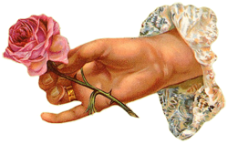Pink Rose Hand With Wedding Band